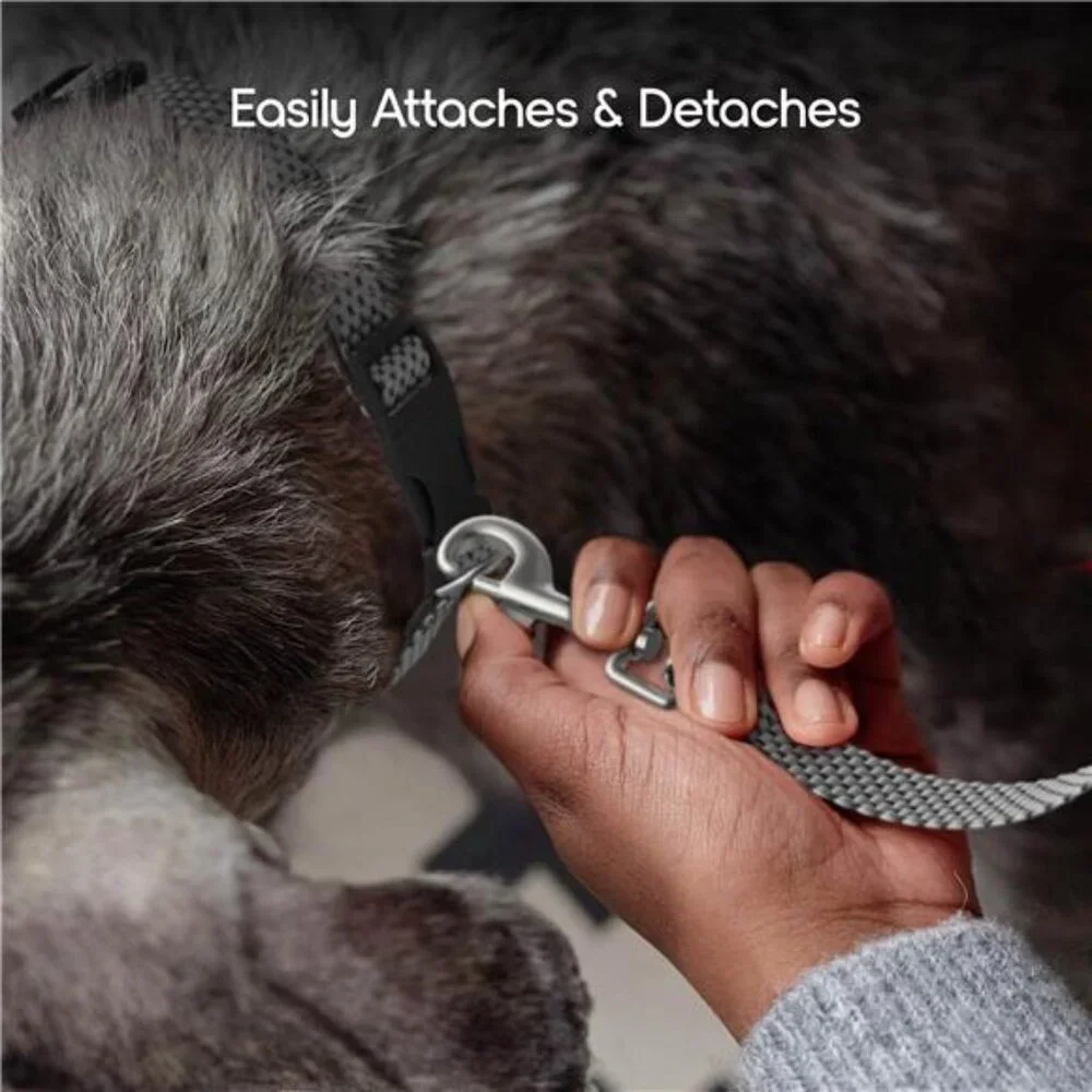 Nylon 5ft Anti-Shock Padded Dog Leash, Gray - For Medium Size Dogs